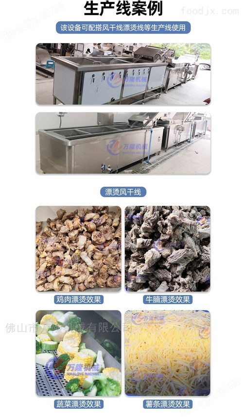 气浴式清洗机香菇菌类加工工厂果蔬净菜设备