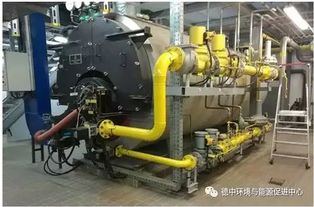 德国先进污水厂是怎样的 柏林wassmannsdorf 污水处理厂