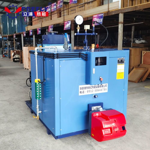 立浦热能500kg燃气蒸汽发生器蒸汽养护室箱梁蒸养t梁养护 蒸汽锅炉lws0.5 0.7 y.q 谷瀑环保