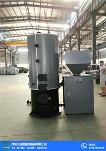 天成热能设备公司 图 生物质发生器厂家 丽江生物质发生器